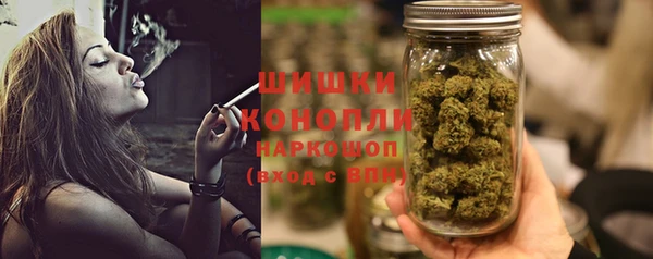 СК Аркадак