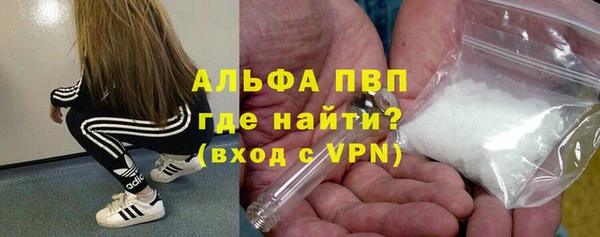 СК Аркадак