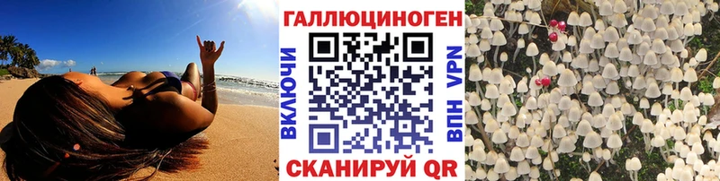 Галлюциногенные грибы прущие грибы  цены наркотик  Дмитриев 
